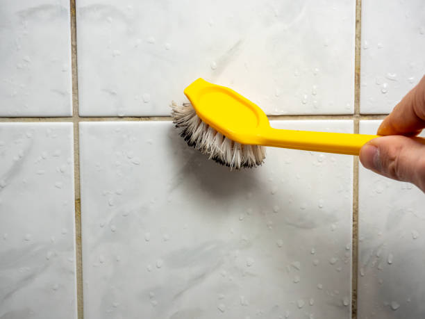 Best Mold Remediation Experts  in Marin City, CA