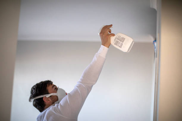 Certified Mold Removal in Marin City, CA