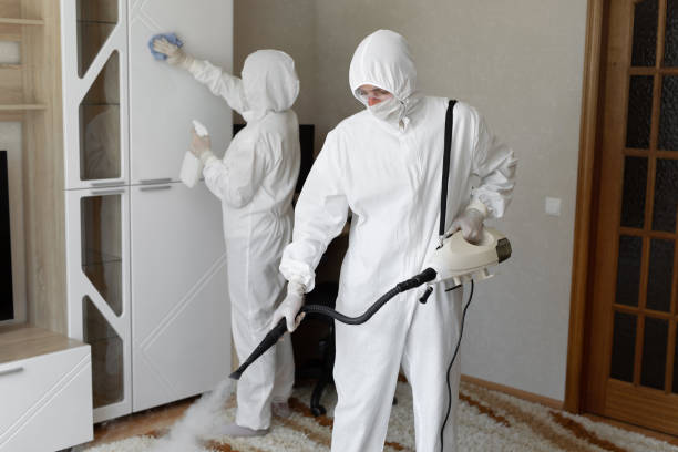 Best Black Mold Removal  in Marin City, CA