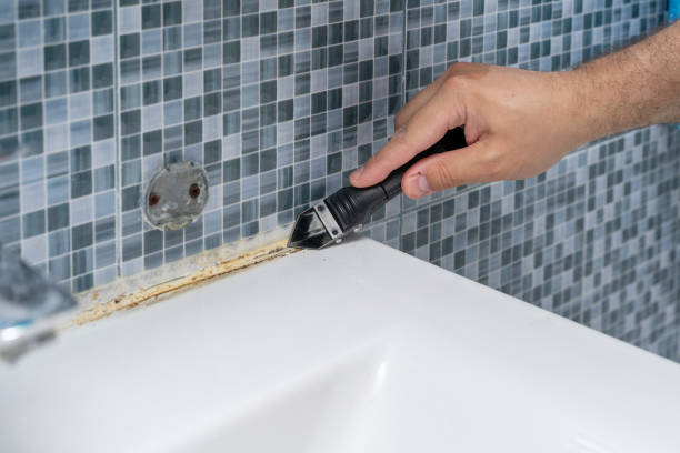 Best Mold Removal Company Near Me  in Marin City, CA