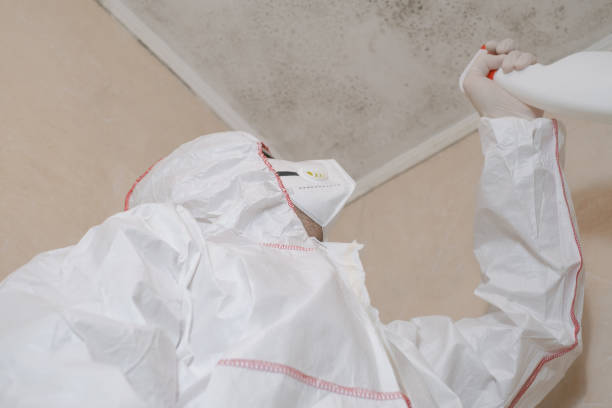 Water Damage Restoration in Marin City, CA