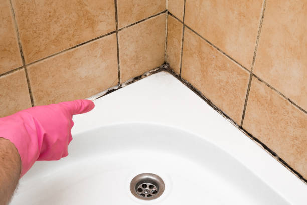 Best Water Damage Restoration  in Marin City, CA